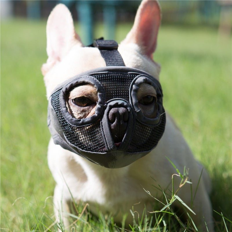 JYHY Short Snout Dog Muzzles- Adjustable Breathable Mesh Bulldog Muzzle for Biting Chewing Licking Training Grooming Dog Mask (Grey(Eyehole), Large/15-25") - Image 1
